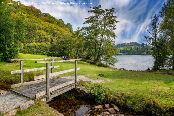 Wooden Bridge to Mair Lake Picture Board by Adrian Evans
