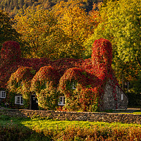 Buy canvas prints of Llanrwst Tea Room Autumn by Adrian Evans