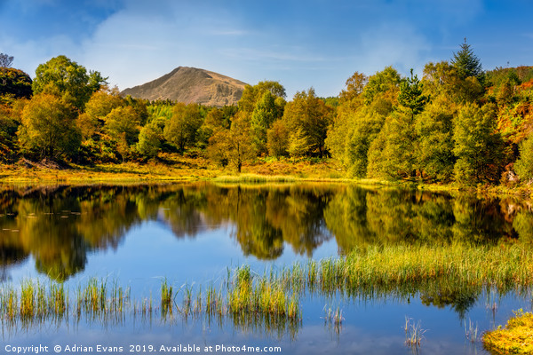 Forest Lake Snowdonia Wales Picture Board by Adrian Evans
