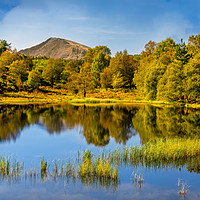 Buy canvas prints of Forest Lake Snowdonia Wales by Adrian Evans