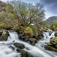 Buy canvas prints of Autumn Mountain Rapids Snowdonia by Adrian Evans