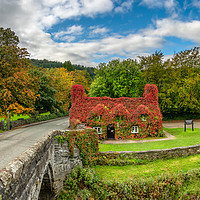 Buy canvas prints of Llanrwst Cottage Autumn  by Adrian Evans
