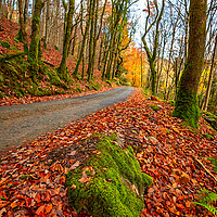 Buy canvas prints of Country Path Autumn  by Adrian Evans