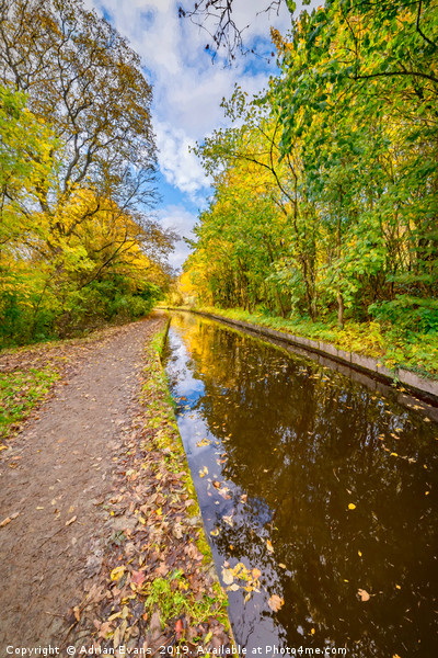 Reflection Of Fall Picture Board by Adrian Evans