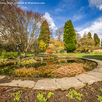 Buy canvas prints of Spring Garden Pond by Adrian Evans