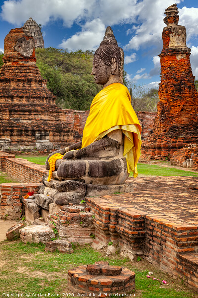 Ayutthaya Thai Buddha Picture Board by Adrian Evans