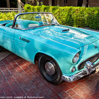 Buy canvas prints of Ford Thunderbird  by Adrian Evans
