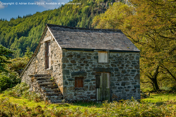 Geirionydd Lake Barn Snowdonia Picture Board by Adrian Evans