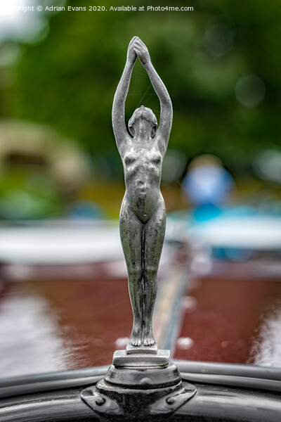 Car Hood Ornament Picture Board by Adrian Evans