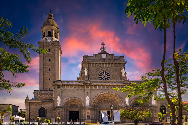 Manila Cathedral Philippines Picture Board by Adrian Evans