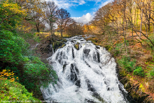 Swallow Falls Snowdonia Wales Picture Board by Adrian Evans