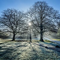 Buy canvas prints of A bright Winters morning on the Sandringham estate by Gary Pearson