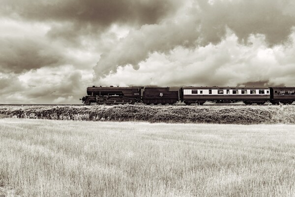 90775 Royal Regiment on the way to Weybourne in Norfolk  Picture Board by Gary Pearson