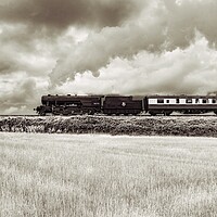 Buy canvas prints of 90775 Royal Regiment on the way to Weybourne in Norfolk  by Gary Pearson