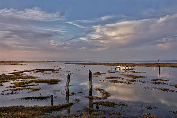 High tide at Thornham Quay Picture Board by Gary Pearson