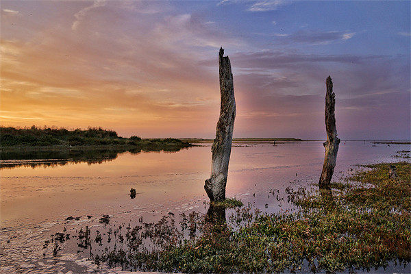 Sunset Thornham Marsh Norfolk Picture Board by Gary Pearson