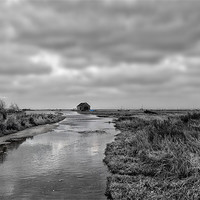 Buy canvas prints of Tidal flooding at Thornham by Gary Pearson