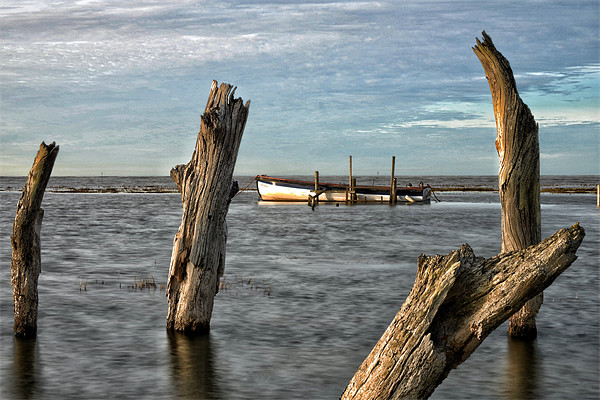 High tide at Thornham Picture Board by Gary Pearson