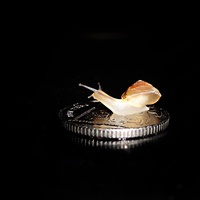Buy canvas prints of Snail on a 10p coin by Gary Pearson