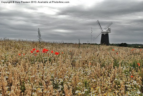 Burnham Overy Staithe Windmill Picture Board by Gary Pearson