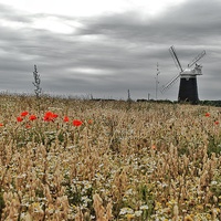 Buy canvas prints of Burnham Overy Staithe Windmill by Gary Pearson