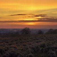 Buy canvas prints of Sunset over Dersingham by Gary Pearson