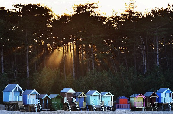 Wells next-the-sea beach huts Picture Board by Gary Pearson