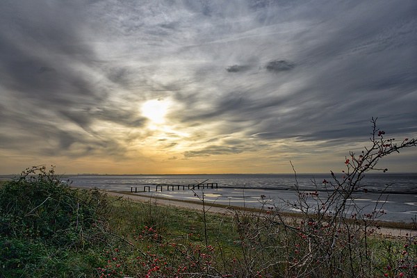 Snettisham beach at low tide Picture Board by Gary Pearson