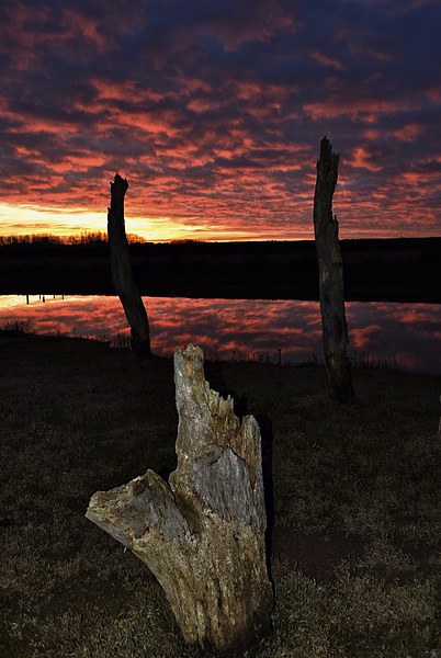 Sunset over Thornham marsh Picture Board by Gary Pearson