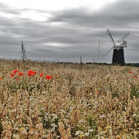 Buy canvas prints of Burnham Overy Windmill by Gary Pearson