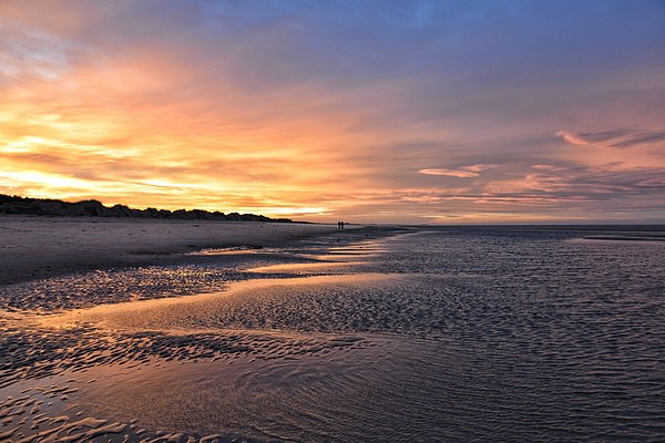 Sunset stroll on Wells beach Picture Board by Gary Pearson