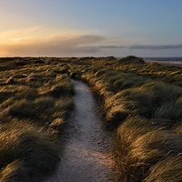 Buy canvas prints of Holme next the sea dunes by Gary Pearson