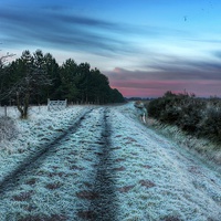 Buy canvas prints of Early morning frost in Norfolk by Gary Pearson