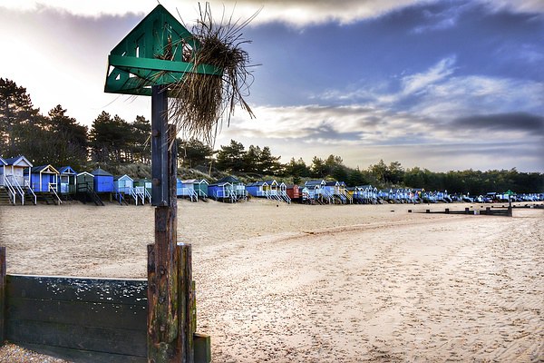 Beach huts Wells next the sea Picture Board by Gary Pearson