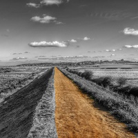 Buy canvas prints of Follow the yellow brick road by Gary Pearson