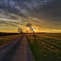 Buy canvas prints of The road in to Ringstead by Gary Pearson
