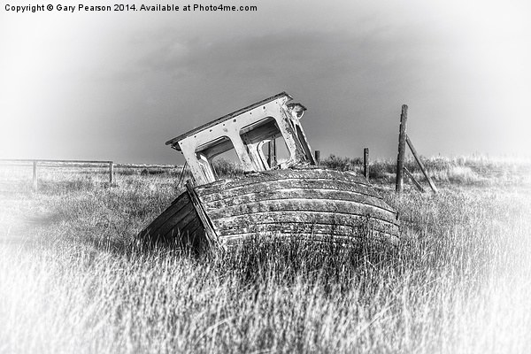 Washed ashore at Thornham Picture Board by Gary Pearson