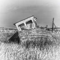 Buy canvas prints of Washed ashore at Thornham by Gary Pearson