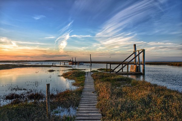 Thornham quay in Norfolk Picture Board by Gary Pearson