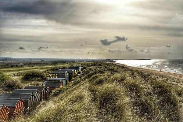 Beach huts in the dunes Picture Board by Gary Pearson