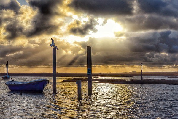Sunset over Brancaster Staithe Picture Board by Gary Pearson