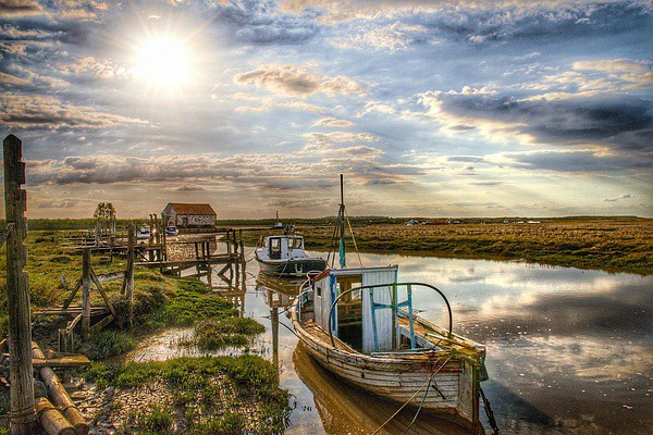  A perfect day at Thornham Picture Board by Gary Pearson