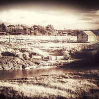 Buy canvas prints of The old coal barn - Thornham  by Gary Pearson