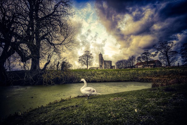 The swan and castle Picture Board by Gary Pearson