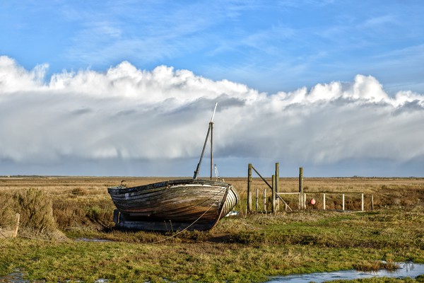 An old boat on Thornham marsh in Norfolk Picture Board by Gary Pearson