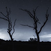 Buy canvas prints of Silhouettes and stars  by Gary Pearson