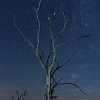 Buy canvas prints of Sleeping under the stars  by Gary Pearson