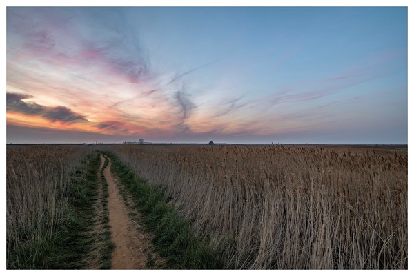 Lingering colours of sunset at Thornham Picture Board by Gary Pearson