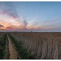 Buy canvas prints of Lingering colours of sunset at Thornham by Gary Pearson