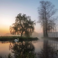 Buy canvas prints of Early morning mist on the commute to Bintree mill  by Gary Pearson